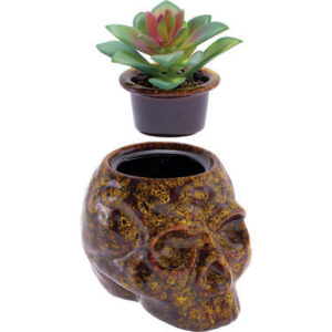Fujima Yellow Skull Planter Stash Jar  4.5in